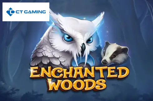 Enchanted Woods